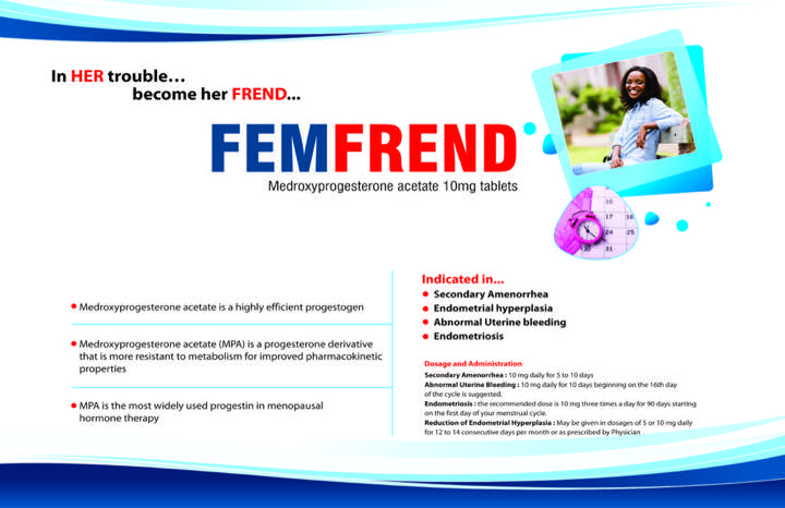Source promotional artwork for FEMFREND
